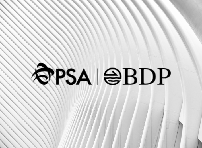 SKUPINA PSA BDP